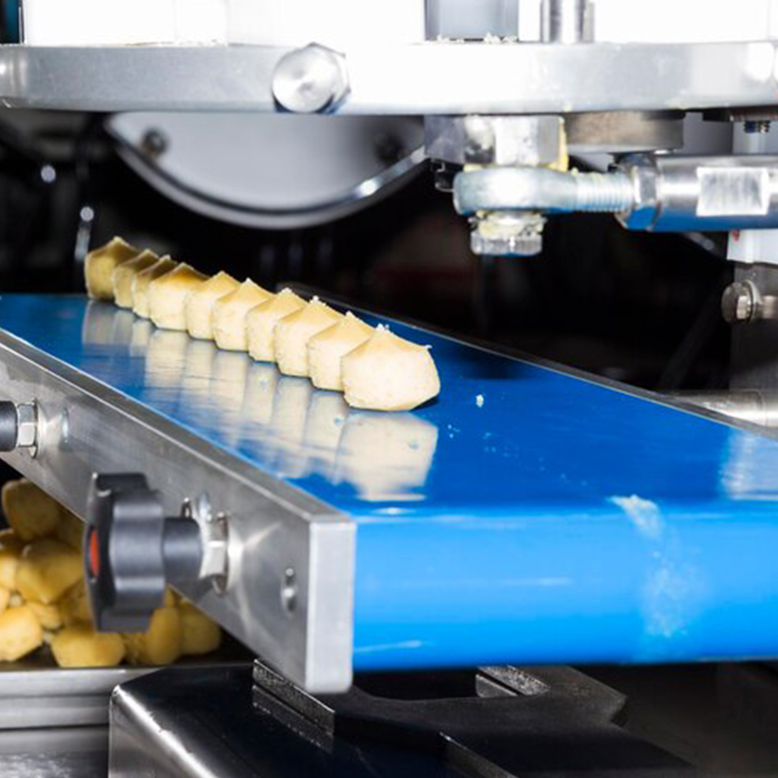 صنعت مواد غذایی